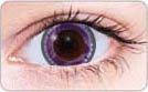crystal purple circle lenses