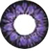 flower purple circle lens