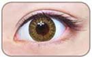 brown circle lens