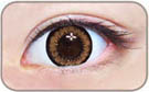 brown circle lens