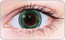 crystal green circle lenses