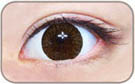 brown circle lens