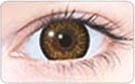 brown circle lens