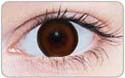 brown circle lens