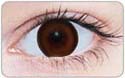 brown circle lens