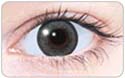 grey wing circle lens