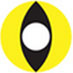 Yellow Cat Eye Color Contacts